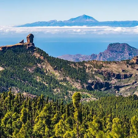 Daire Julia's Sweet Mesa Y Lopez